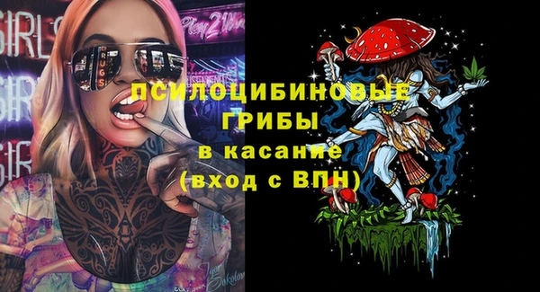 ПСИЛОЦИБИНОВЫЕ ГРИБЫ Красноперекопск