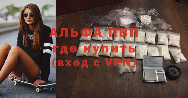 PSILOCYBIN Козловка