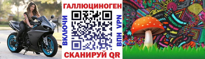 hydra как войти  Кораблино  Галлюциногенные грибы ЛСД 